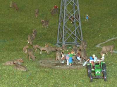 Melkplatz f�r K�he in der "Weid"